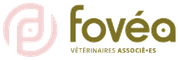 Fovéa