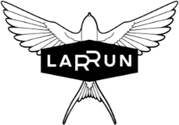 Larrun